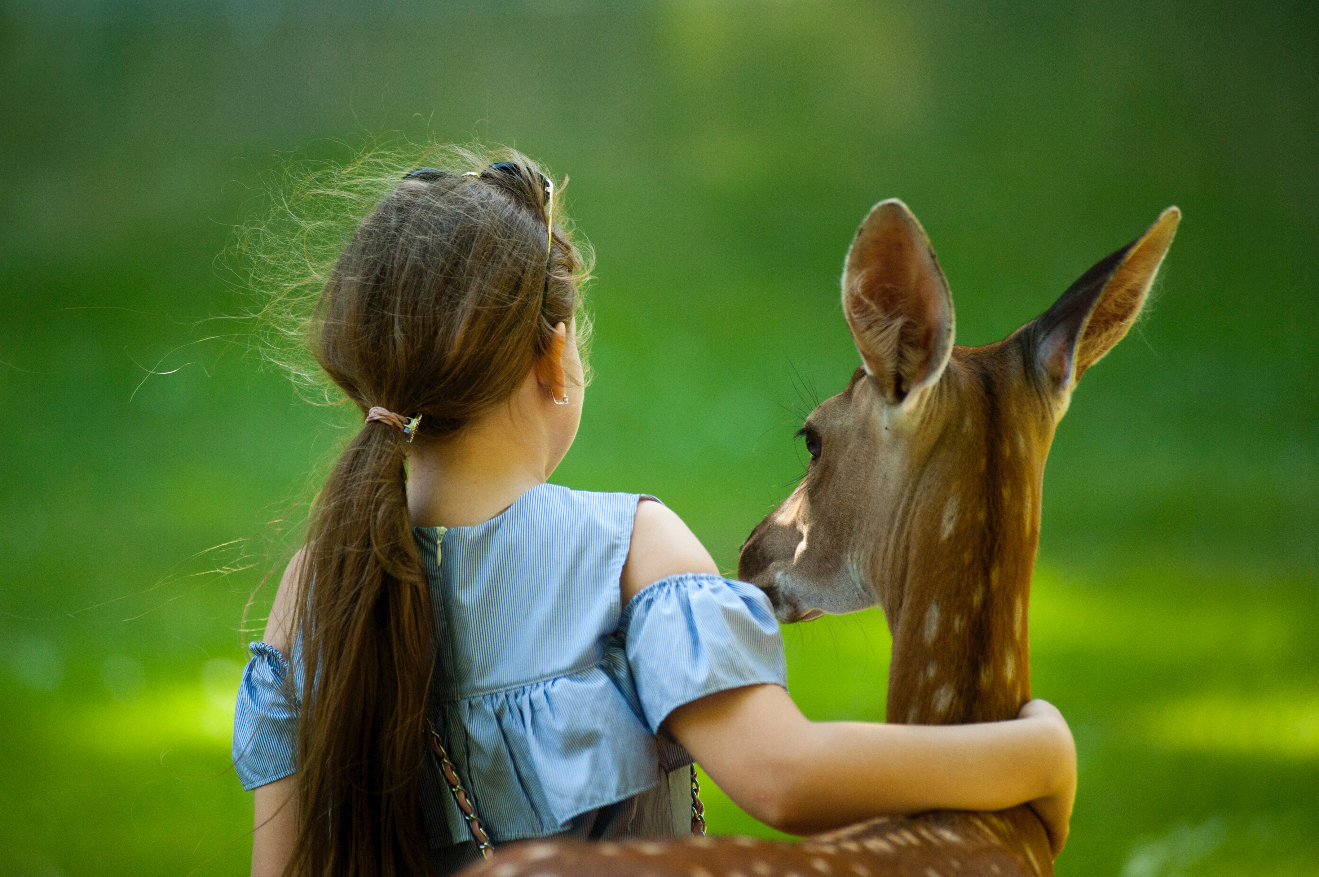 If you show kindness an animal it. Девочка с олененком. Олененок для детей. День защиты животных. Люди и животные.